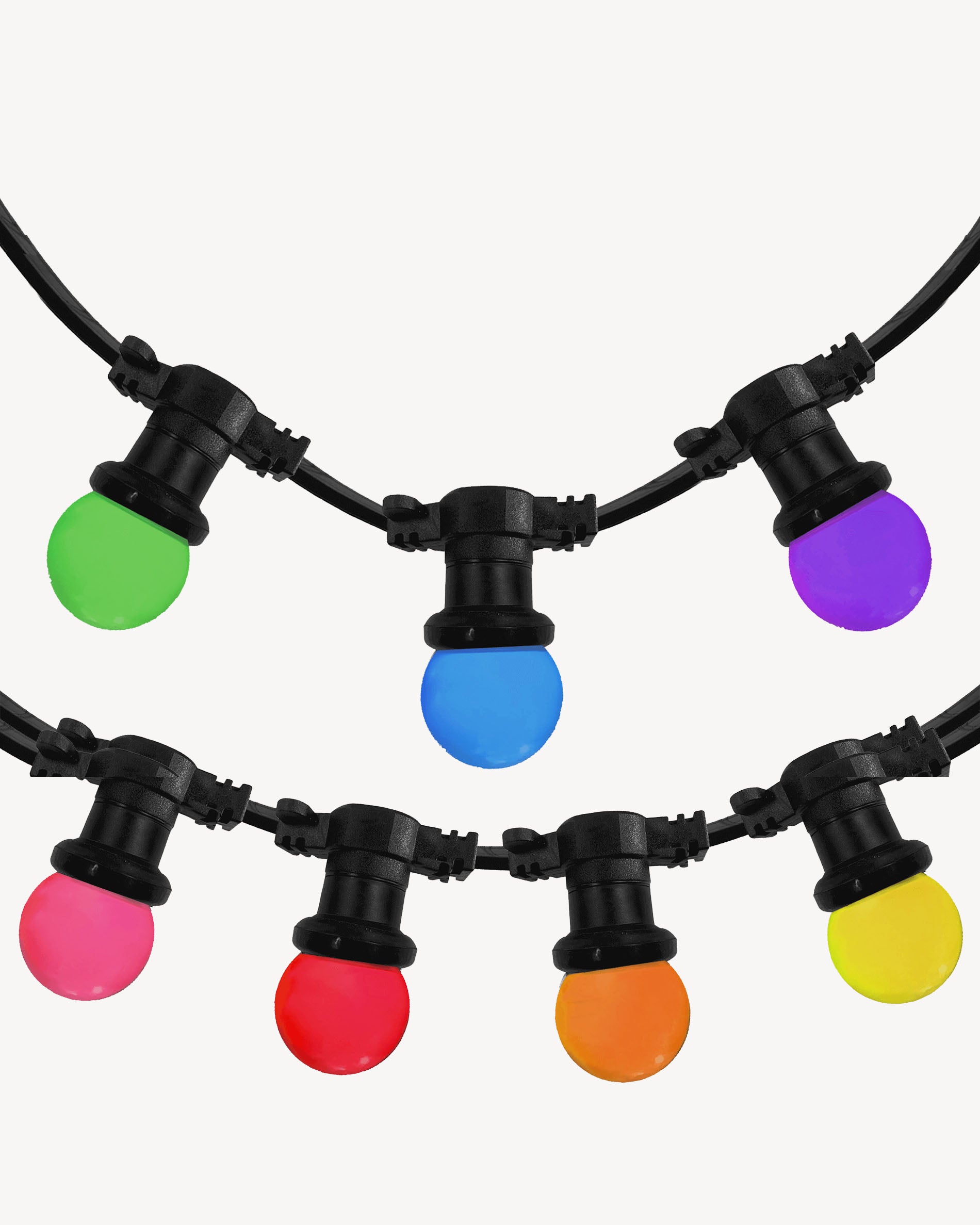 Guirnalda multicolor