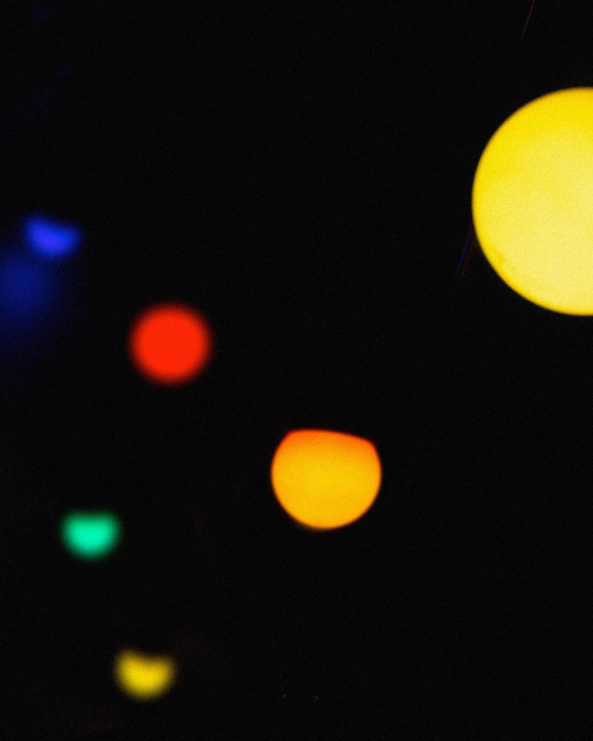 Guirnalda multicolor