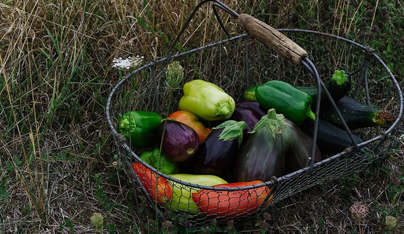 Verduras