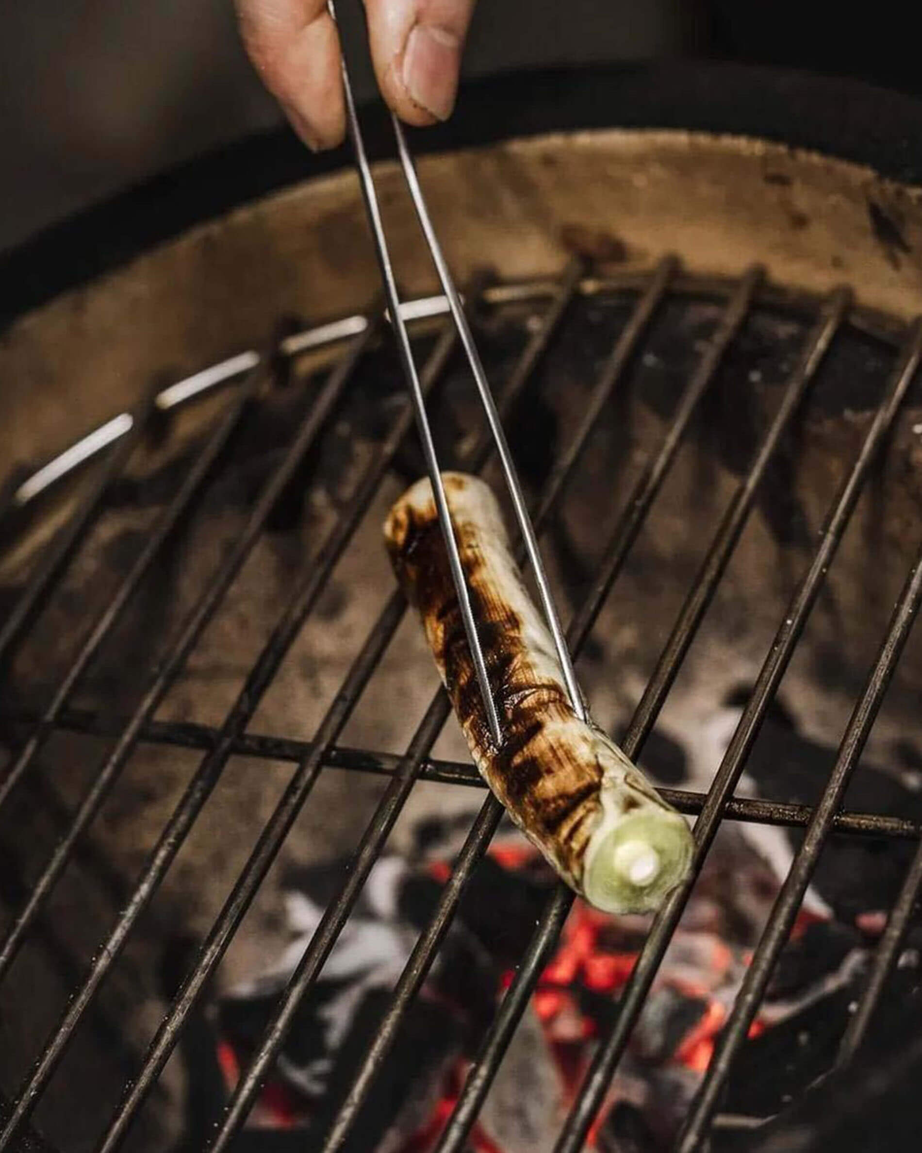 Pinza de acero inoxidable