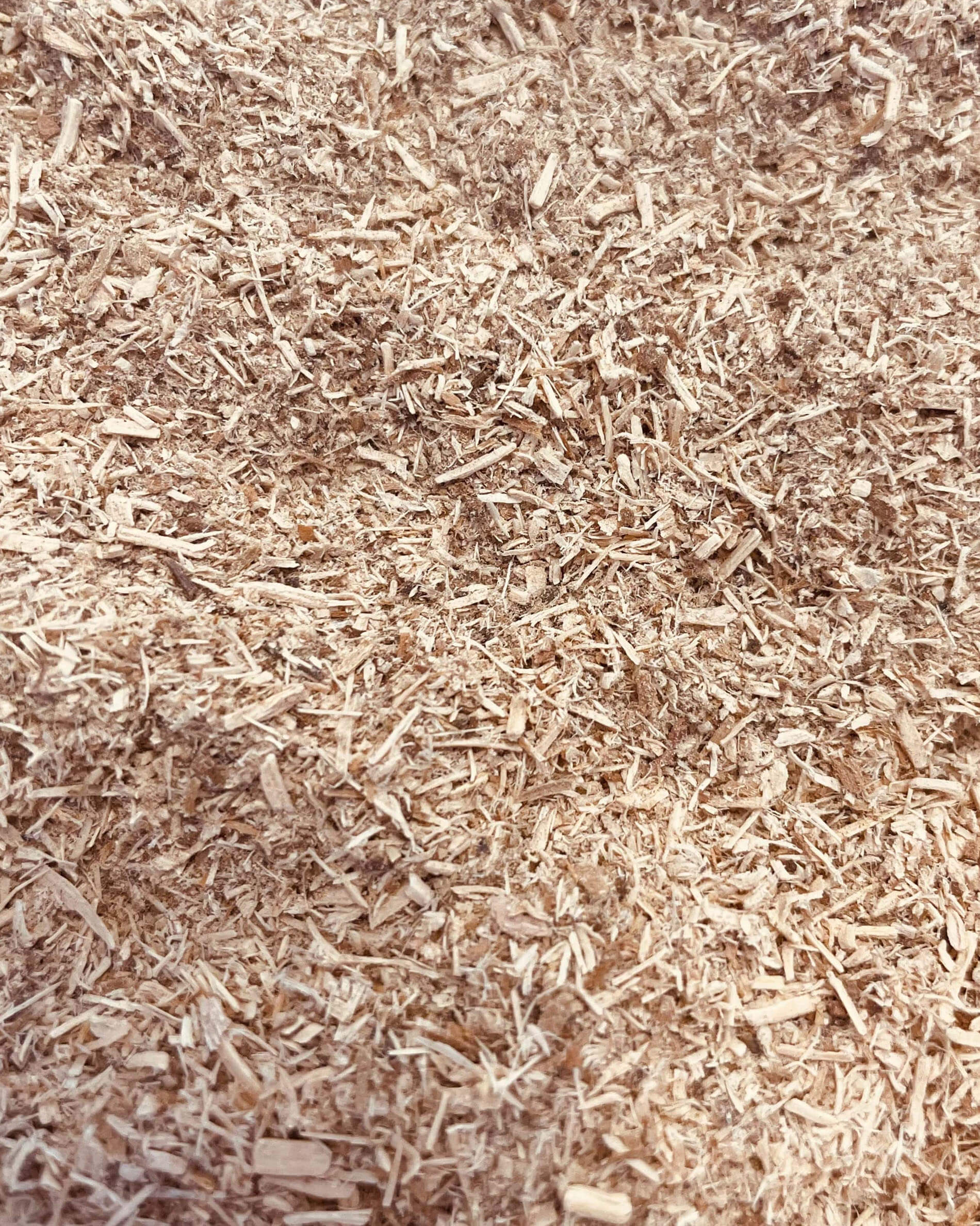 Virutas de madera para ahumado en frío