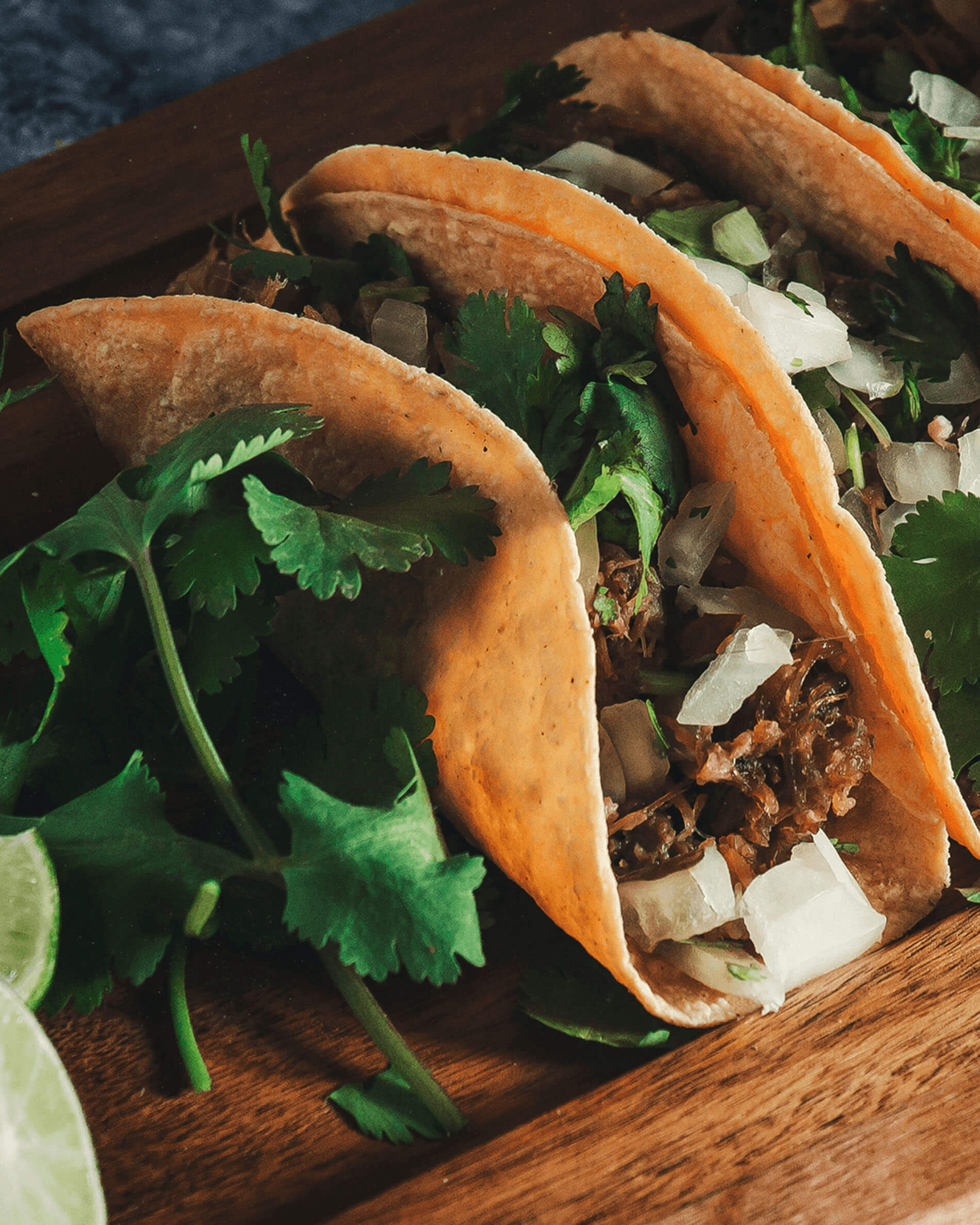 Tacos sobre soporte para tacos de acero inoxidable